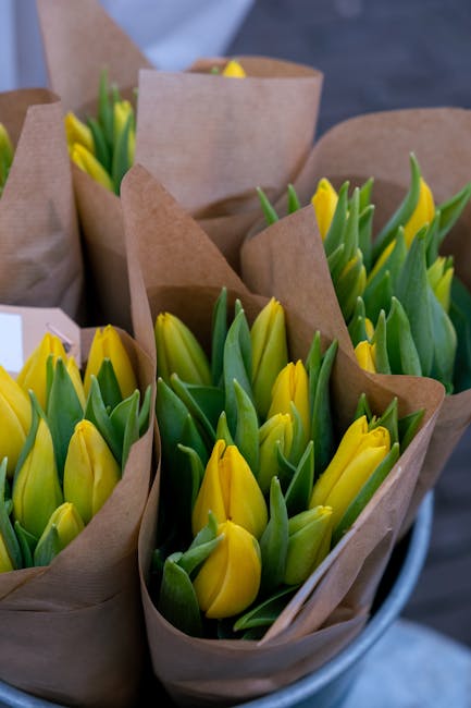 Multiple bouquets of fresh yellow tulips with green foliage wrapped in light brown kraft paper are arranged in a round container, ready for delivery. The tulips are vibrant with smooth petals and stur
