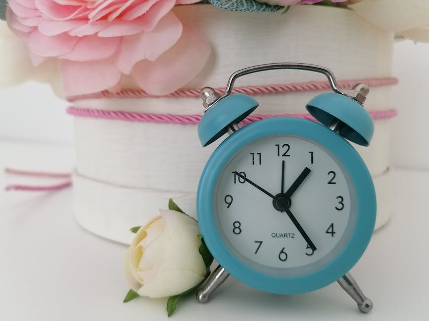 A light blue vintage-style alarm clock with twin bells shows the time as 1:49, placed next to a single white rose with green leaves. In the background, there is a white round gift box wrapped with pin